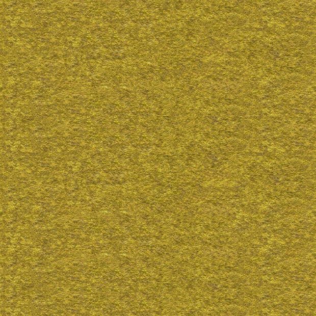 SN101 Sarı