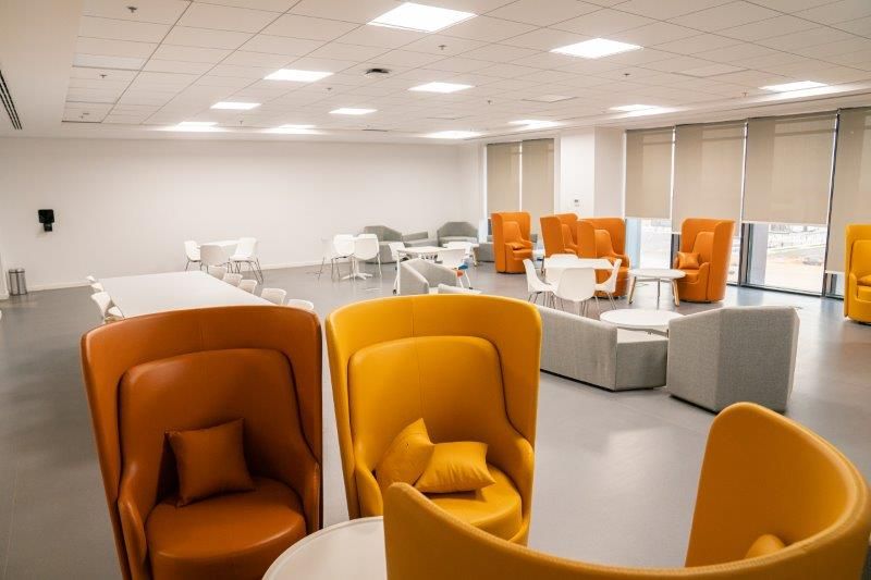El-Sewedy Universitesi