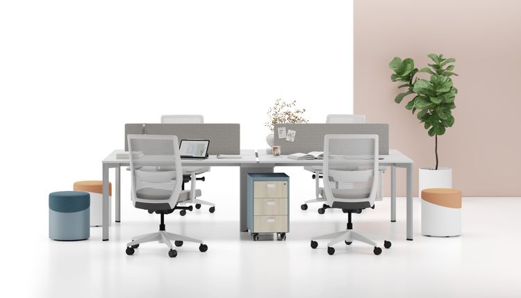 PAL Ofis Kullanım Senaryosu